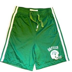 Abercrombie Kids Boys Athletic Mesh Shorts Size X-Large Green/White Stripes